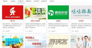 南昌网站开发与移动应用建设服务全解析